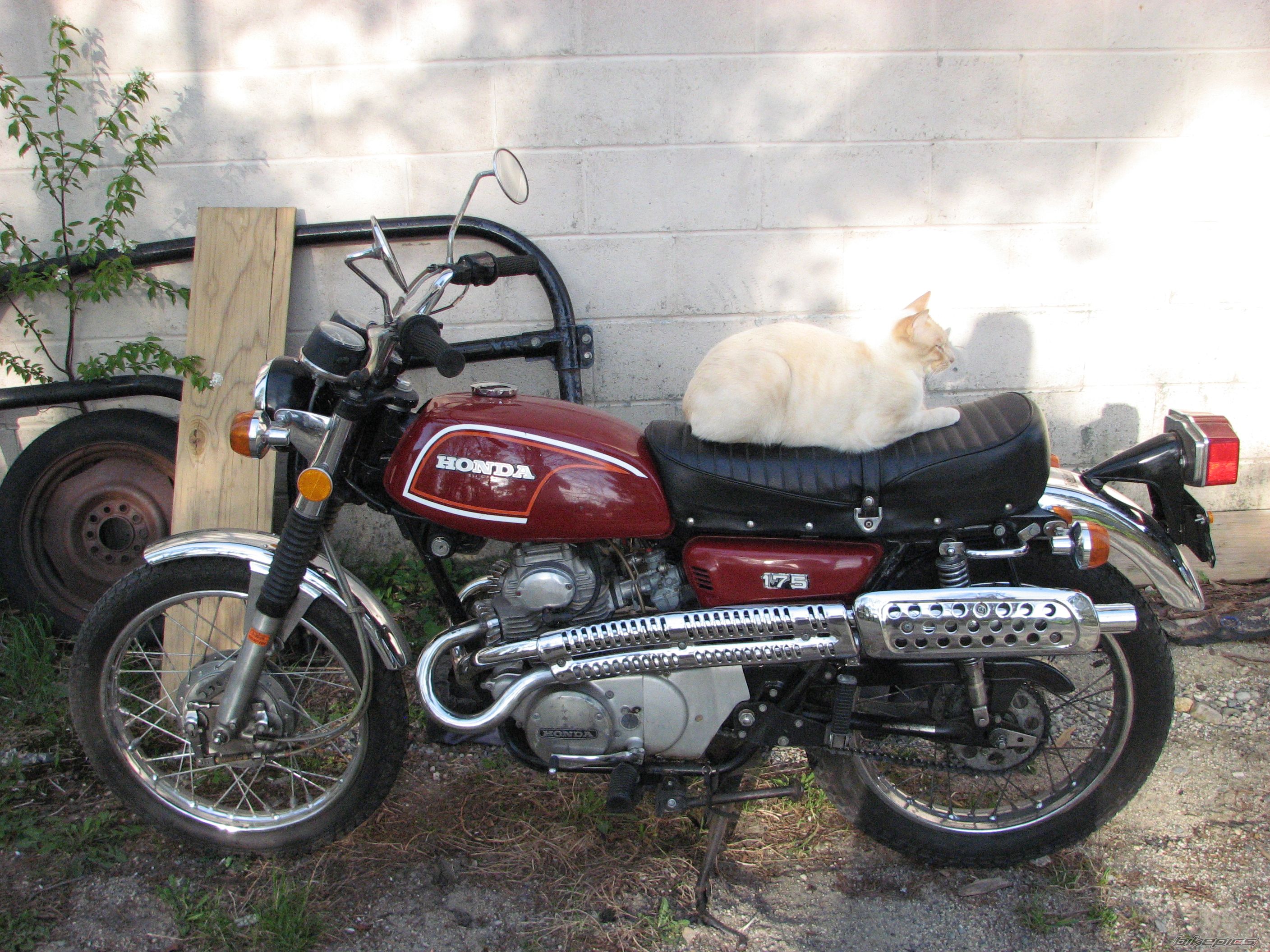 Photo 1284164