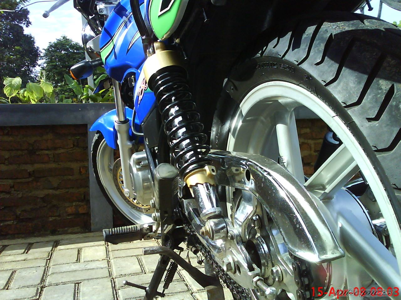 Photo 1284203