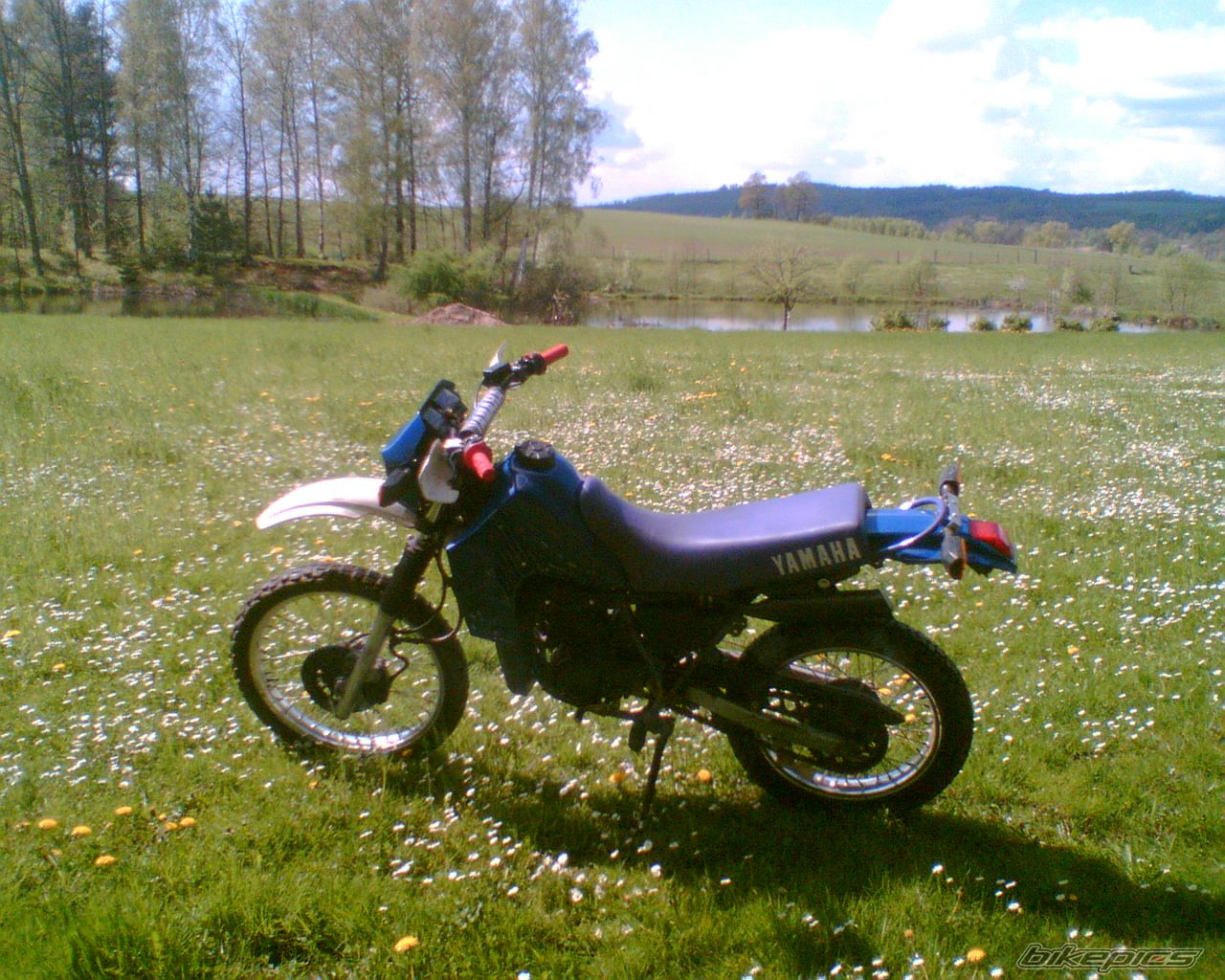 Photo 1284996