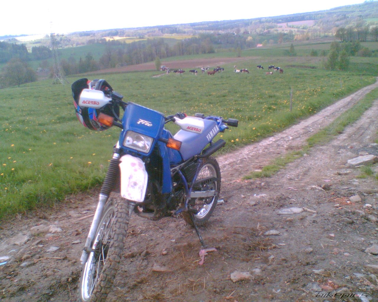 Photo 1284997