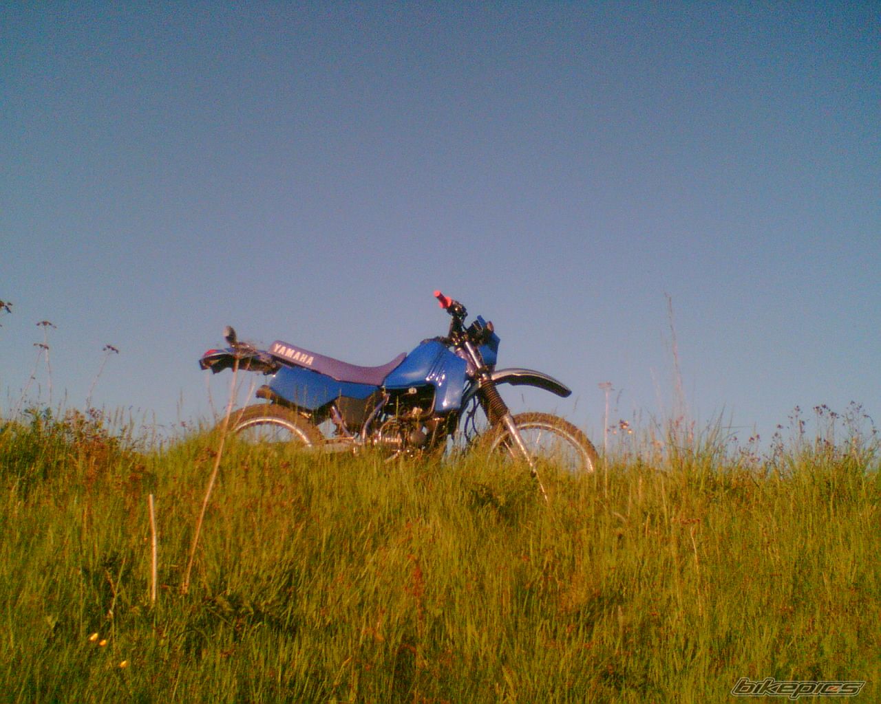 Photo 1285014