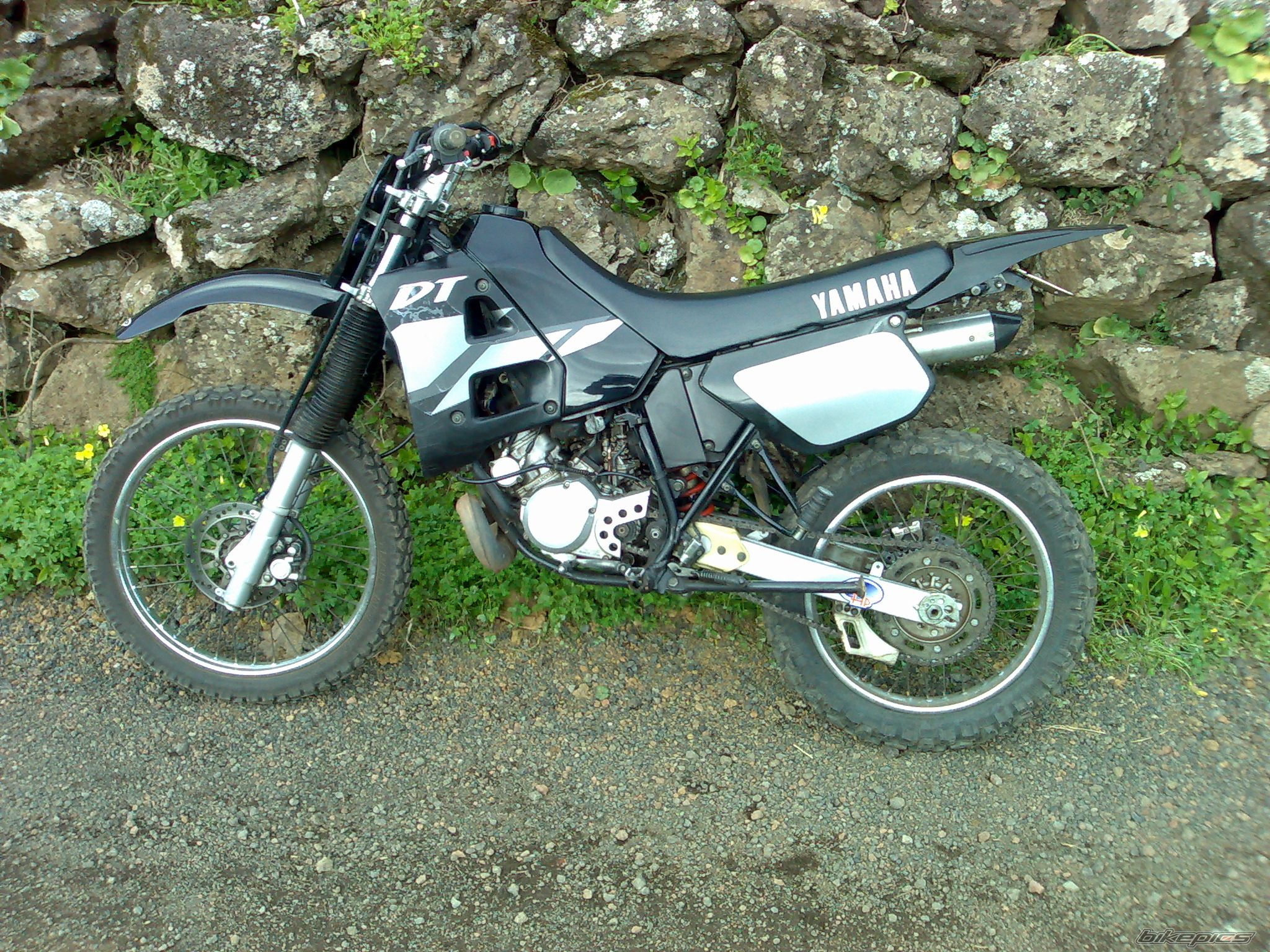 Photo 1286208