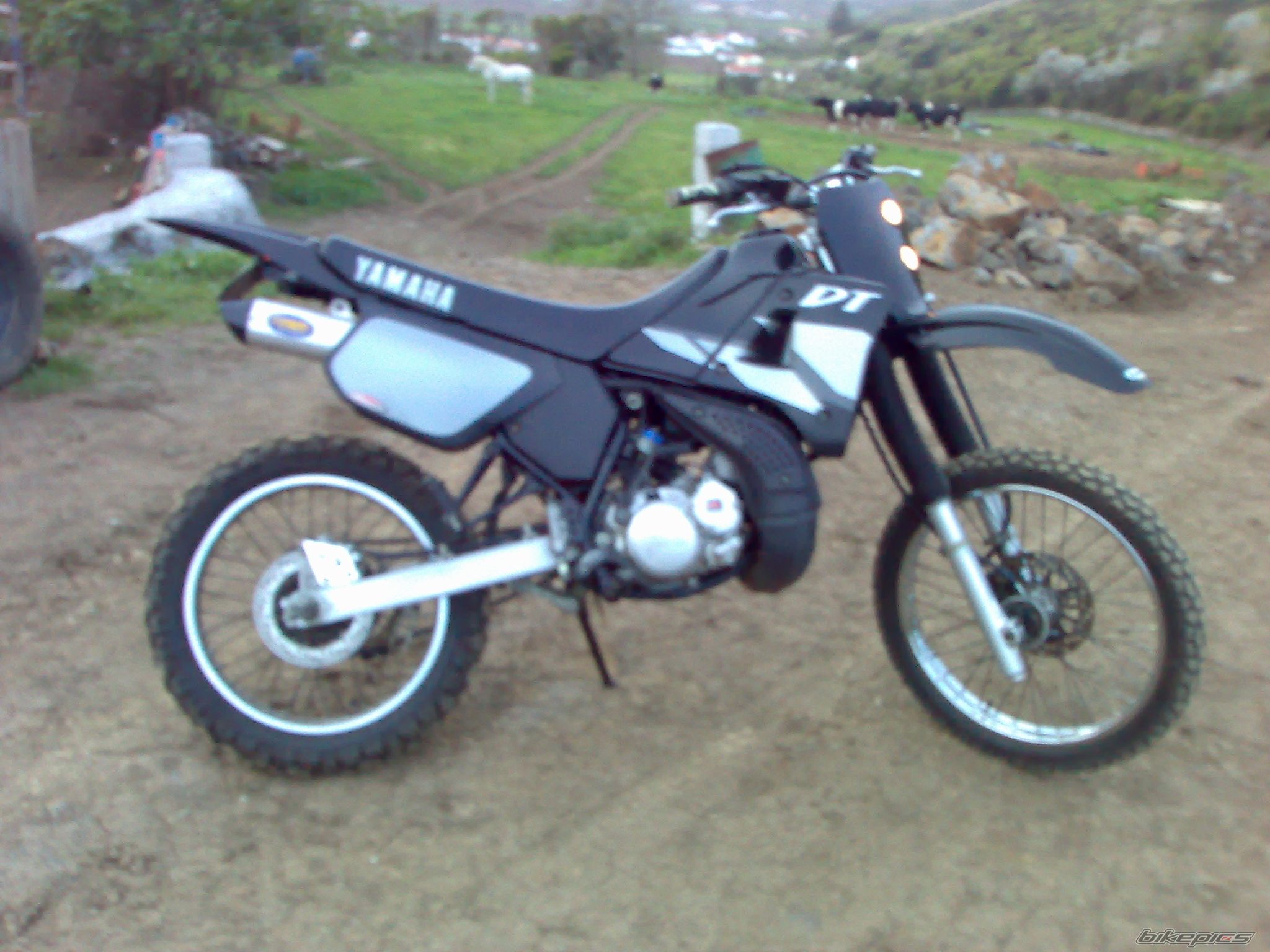 Photo 1286212