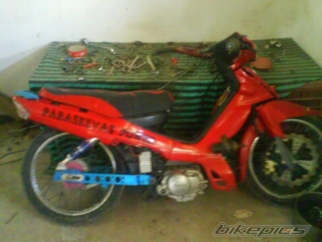 Photo 1286672