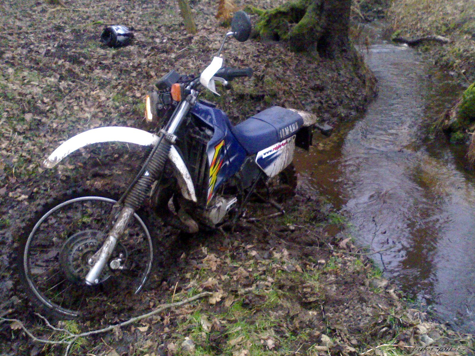 Photo 1286685