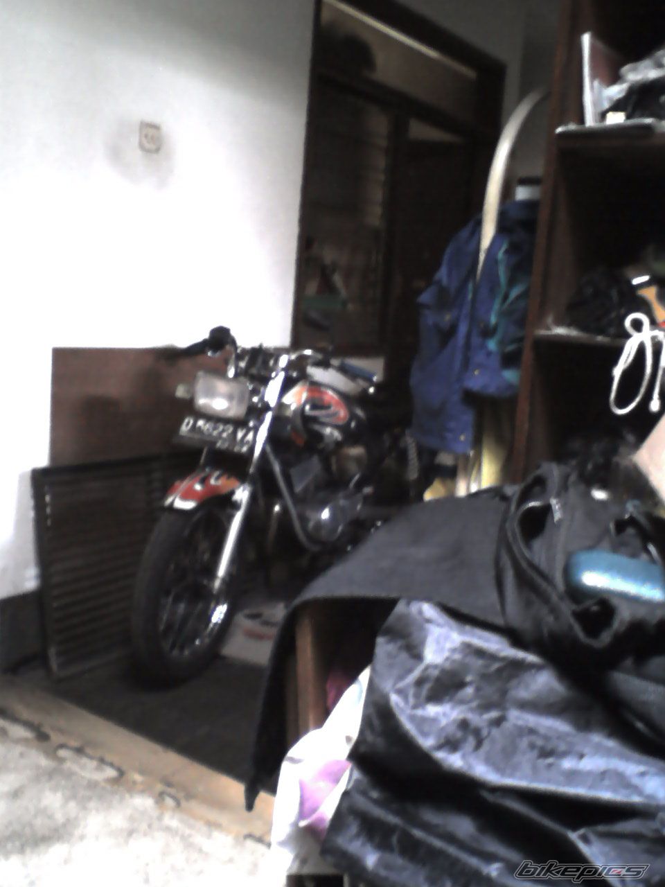 Photo 1286923