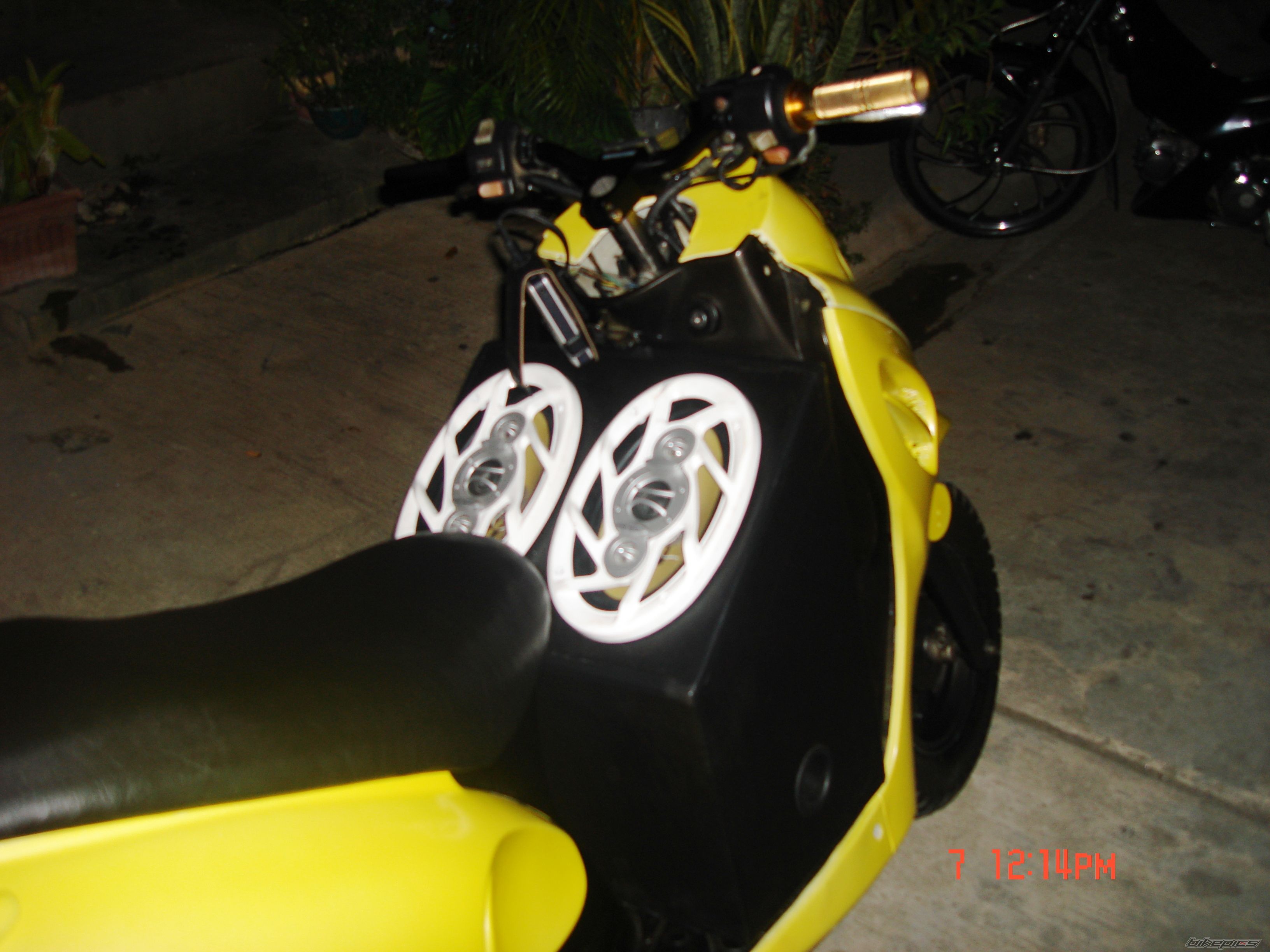 Photo 1287013