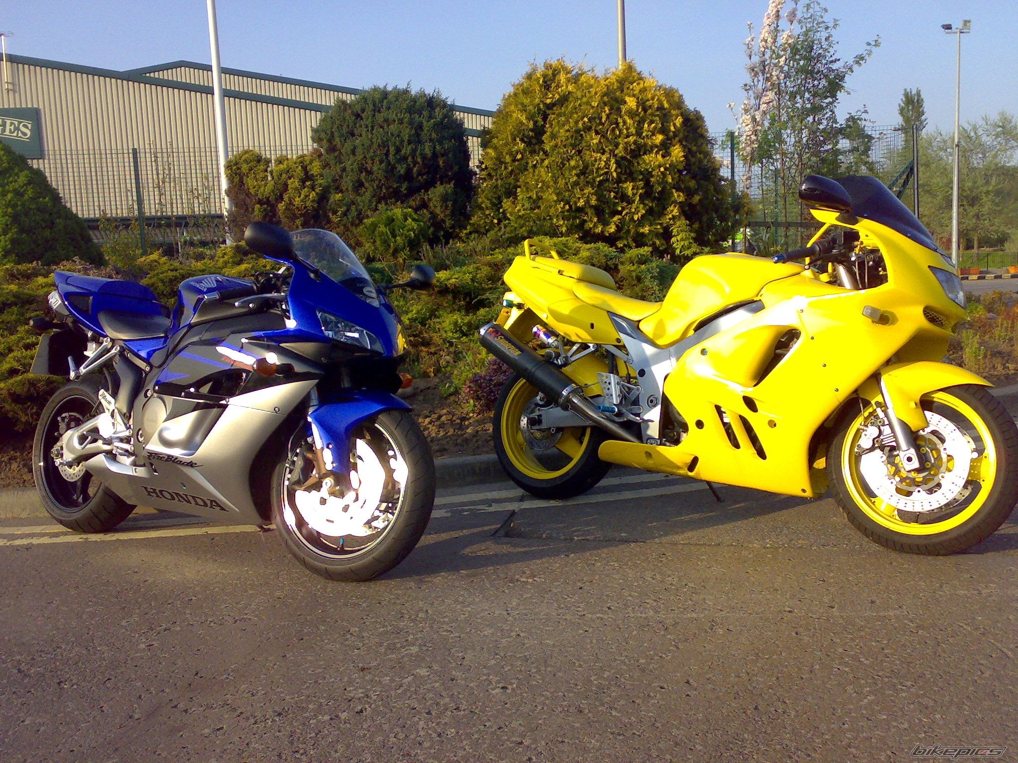 Photo 1287025