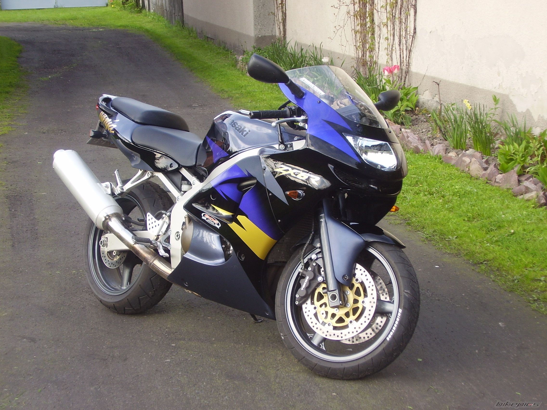 Photo 1287469