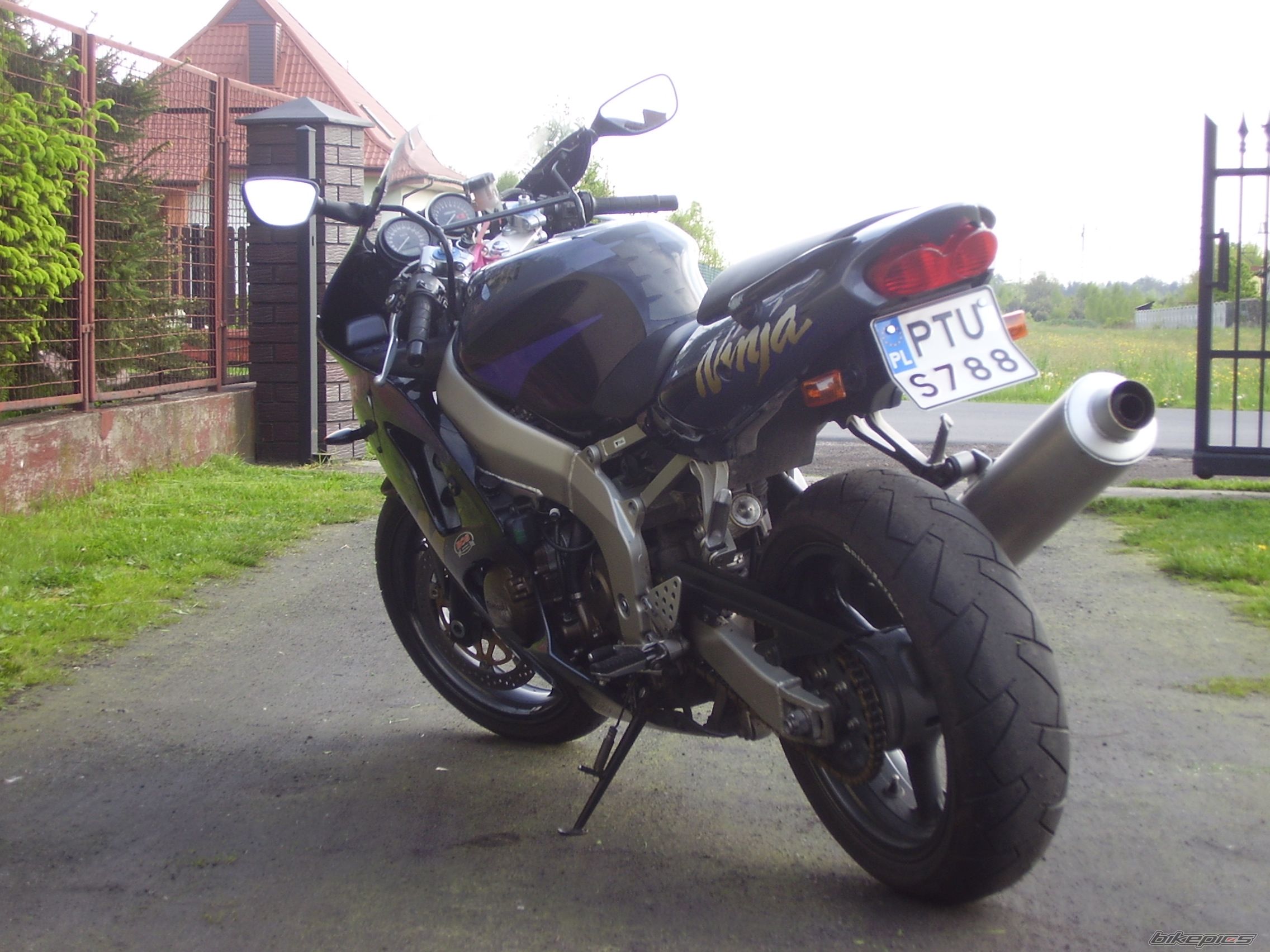 Photo 1287498