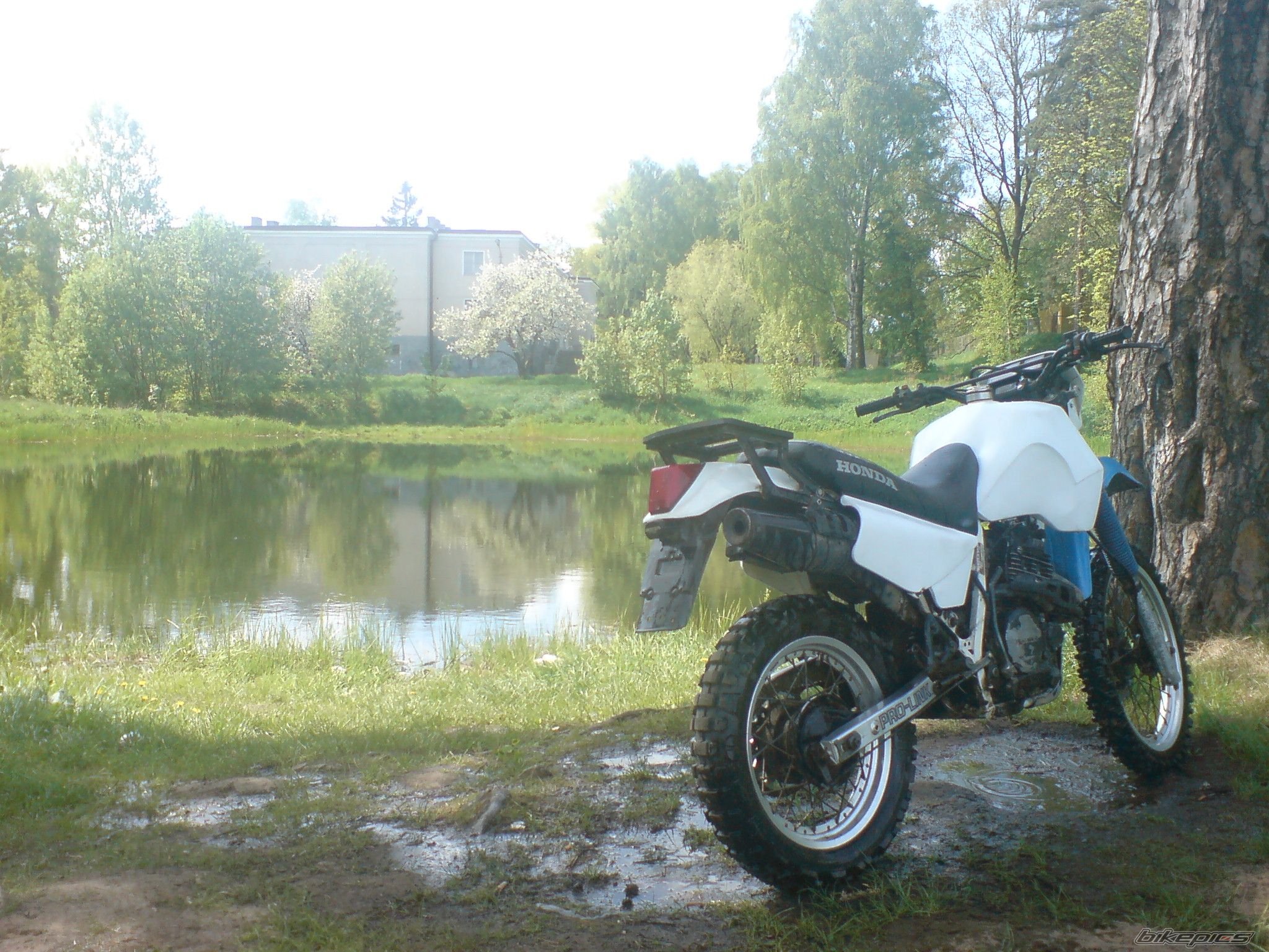 Bike Photo 1287816