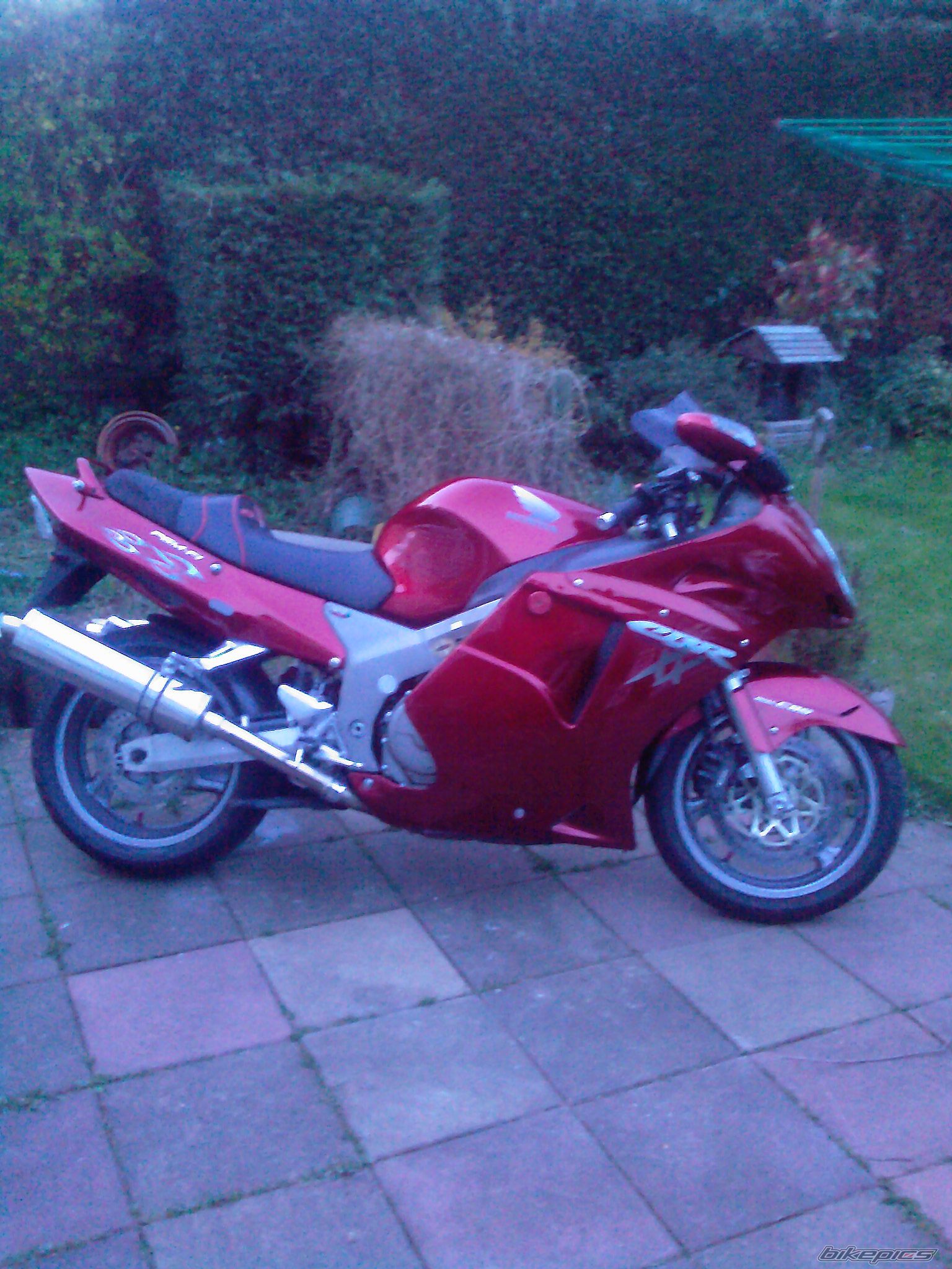 Photo 1288975