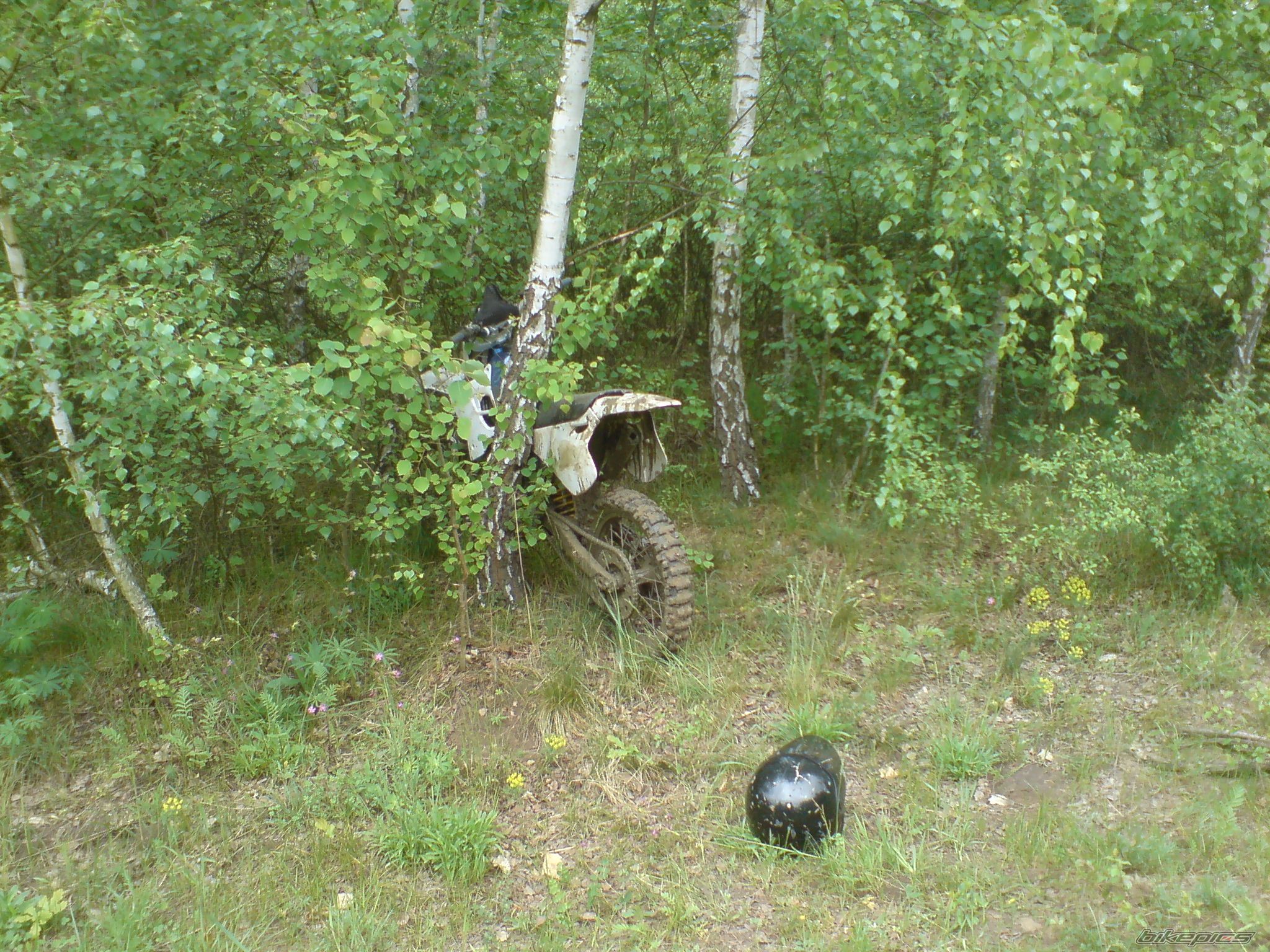 Bike Photo 1292839