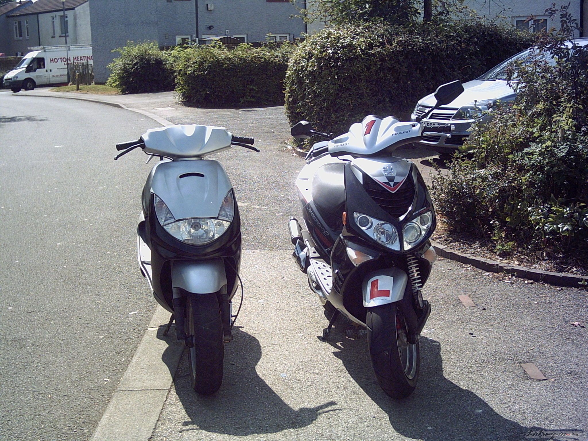 Photo 1293138