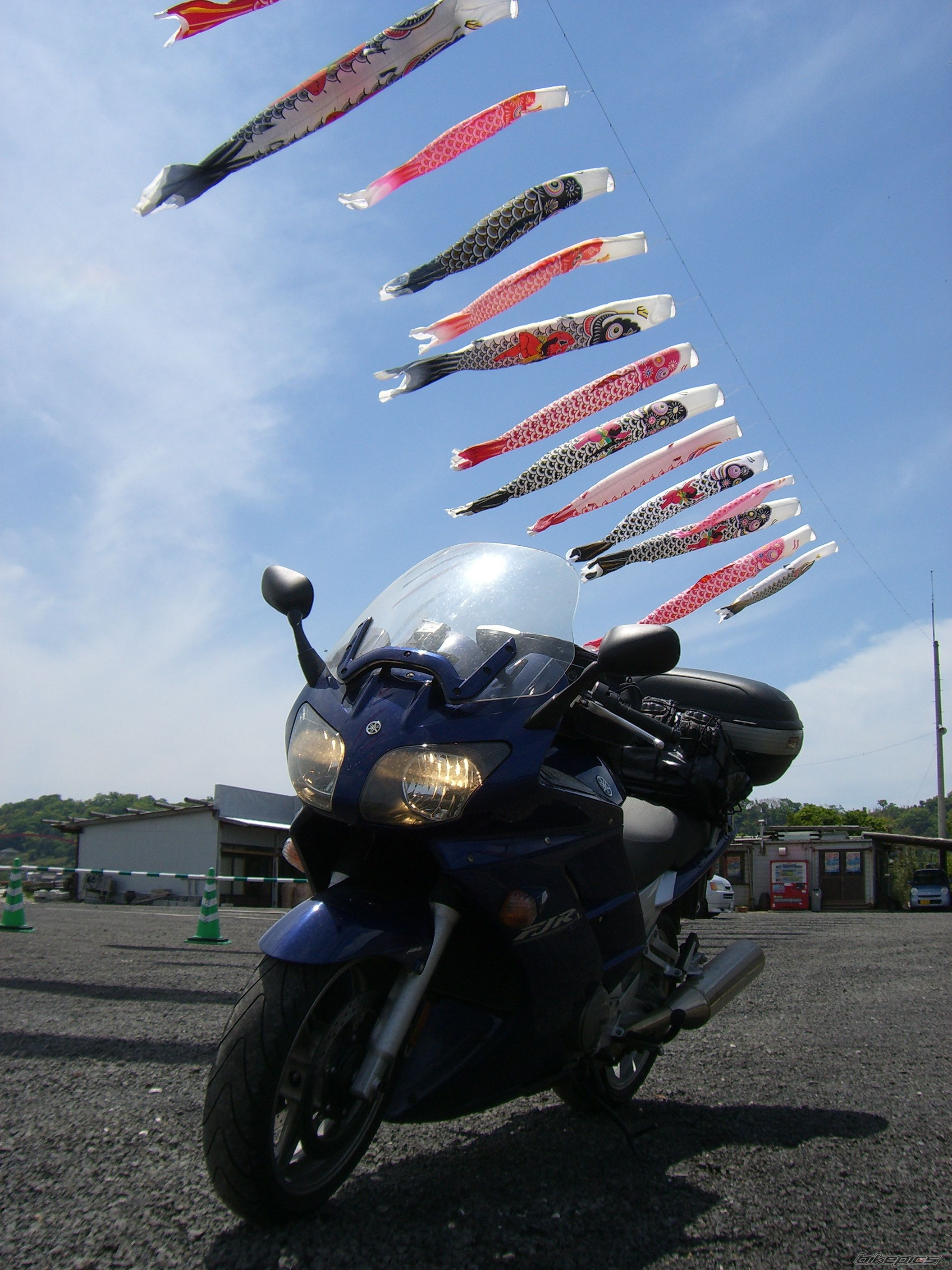 Photo 1294754
