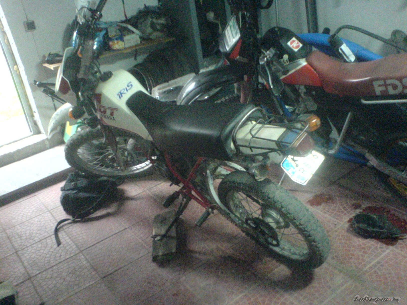 Photo 1295111