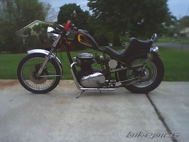 Photo 1295280
