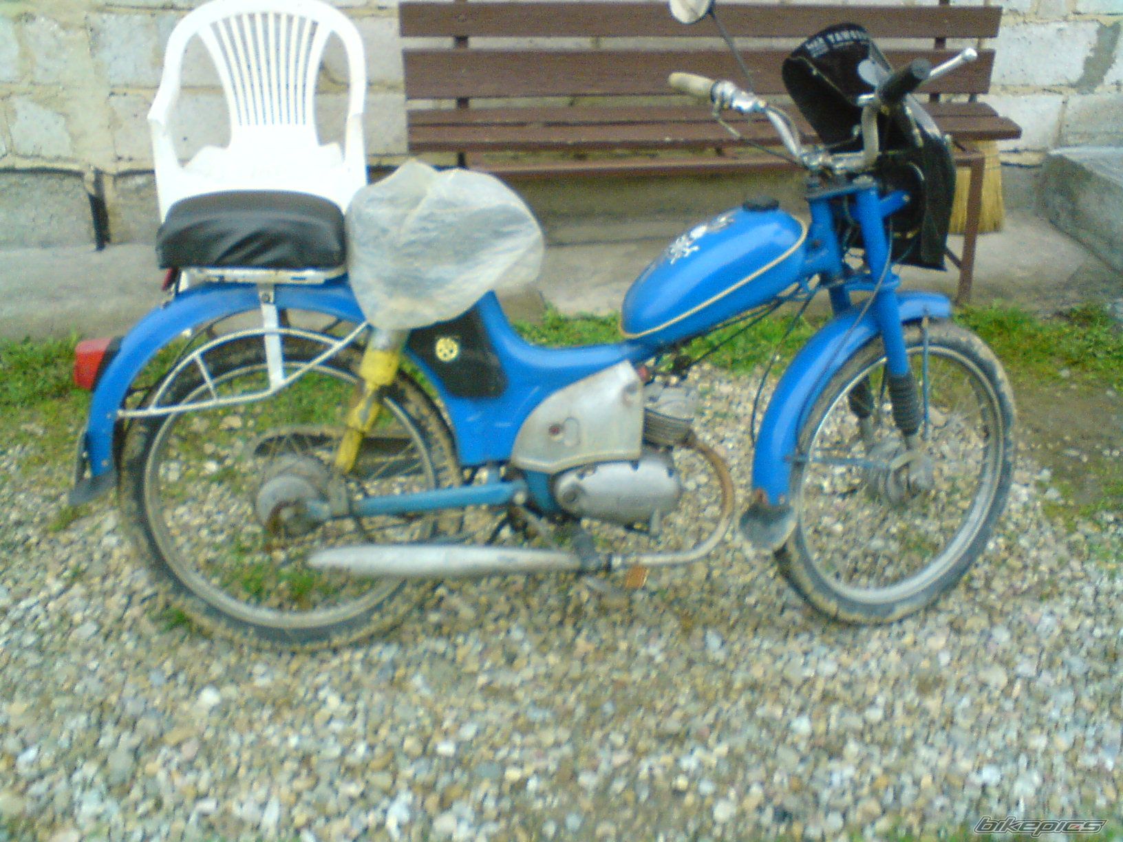 Photo 1295793