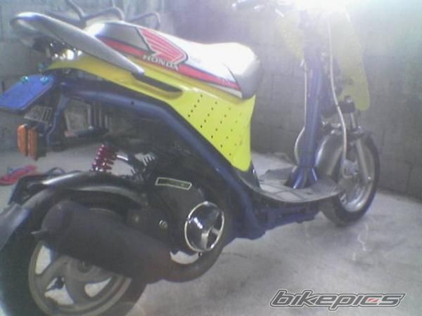 Photo 1296754