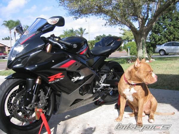 Bike Photo 1297221