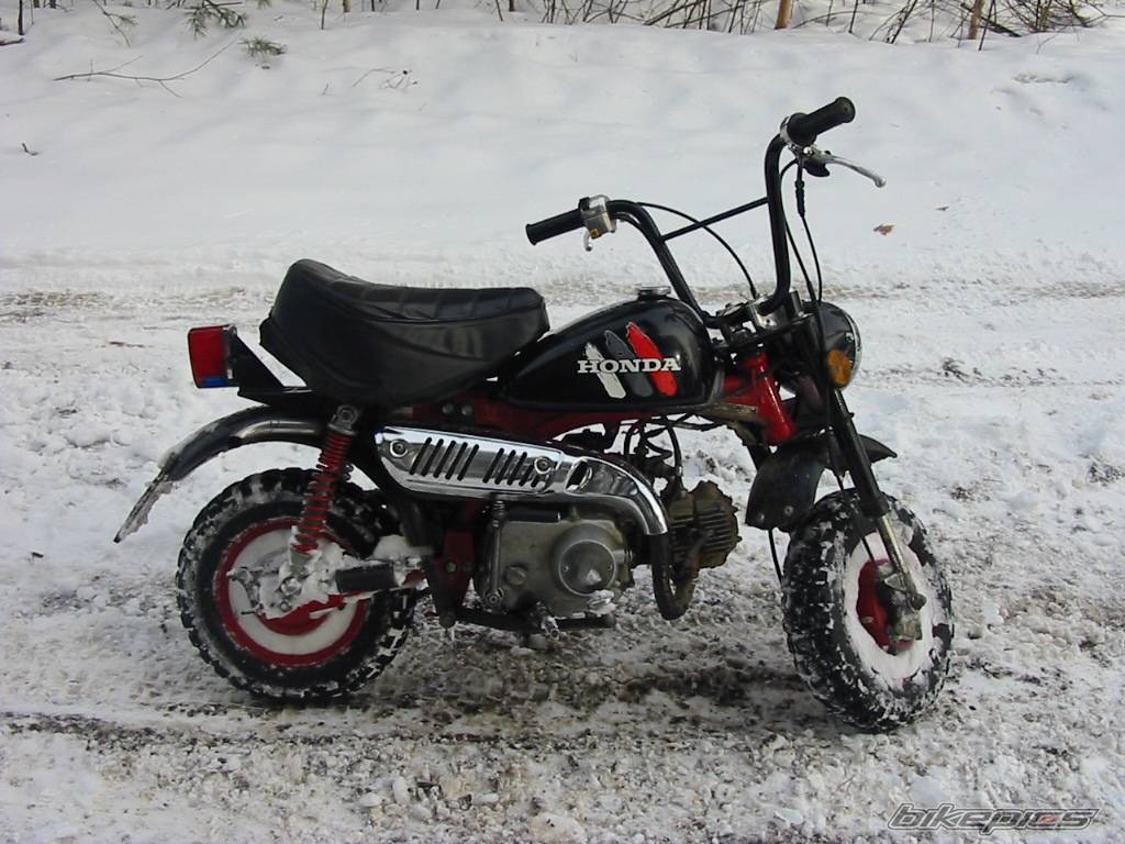 Photo 129769