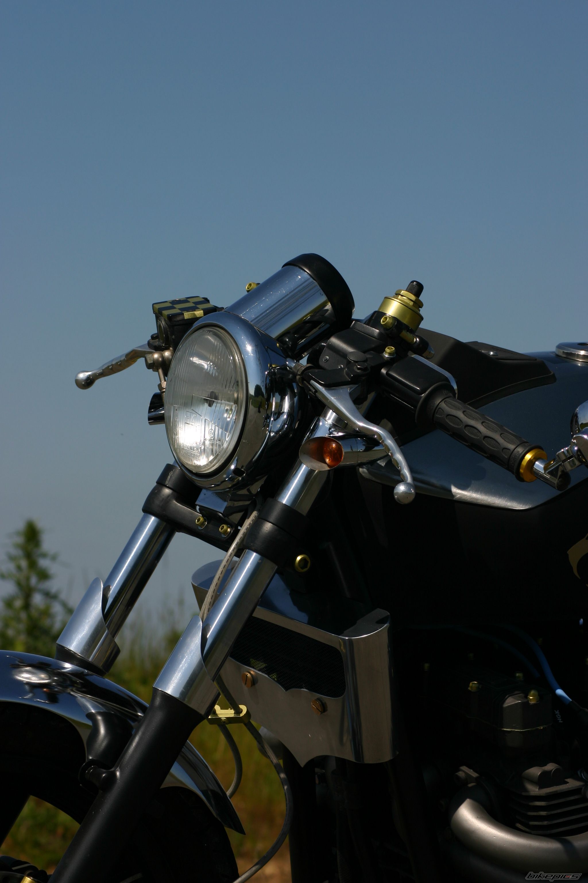 Photo 1297854