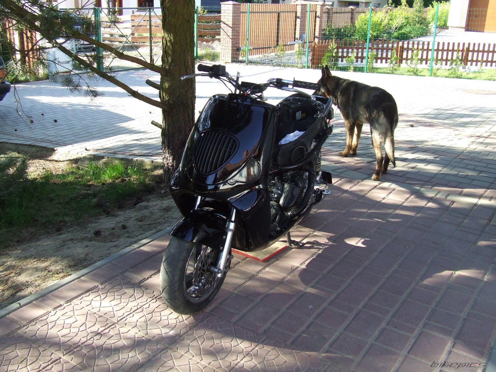 Photo 1299311
