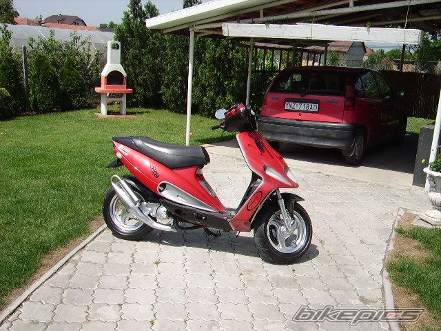 Photo 1302530