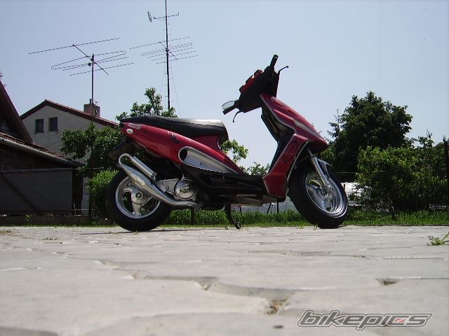 Photo 1302535