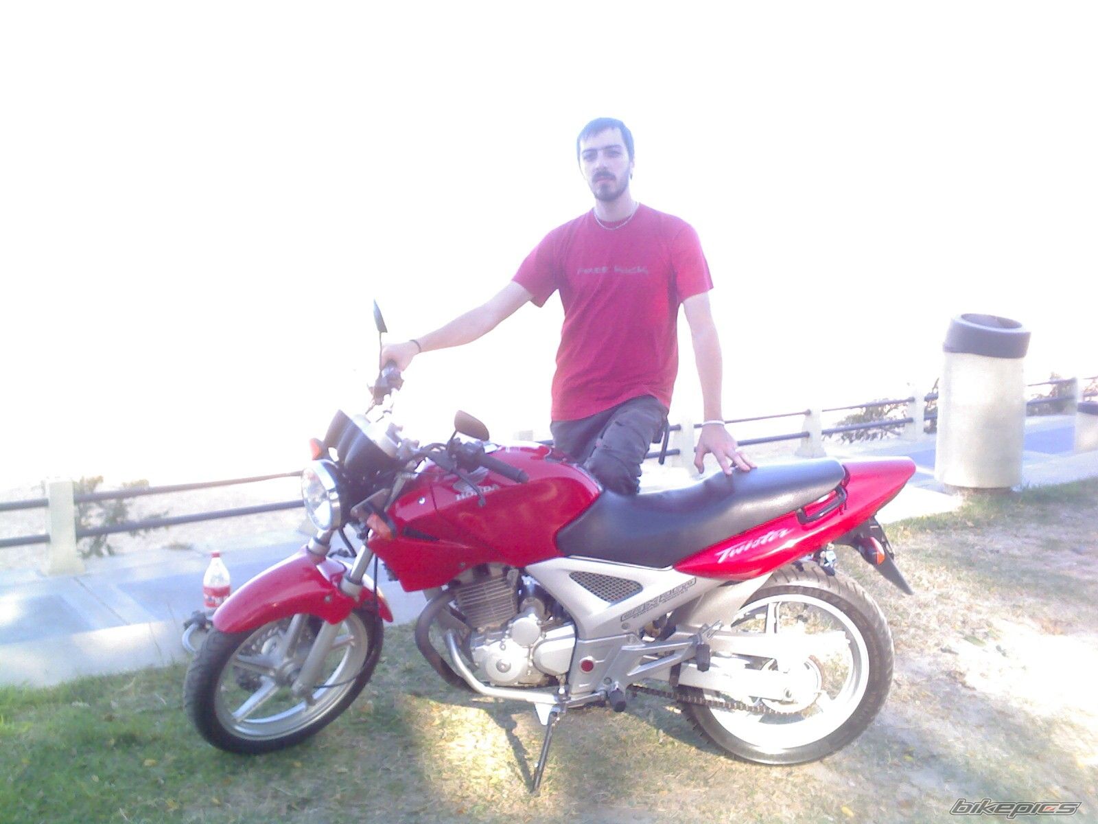 Photo 1304048
