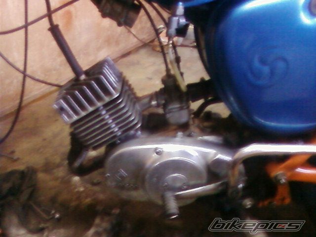 Photo 1304679