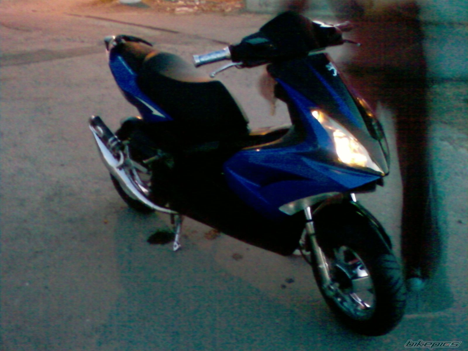 Photo 1305036