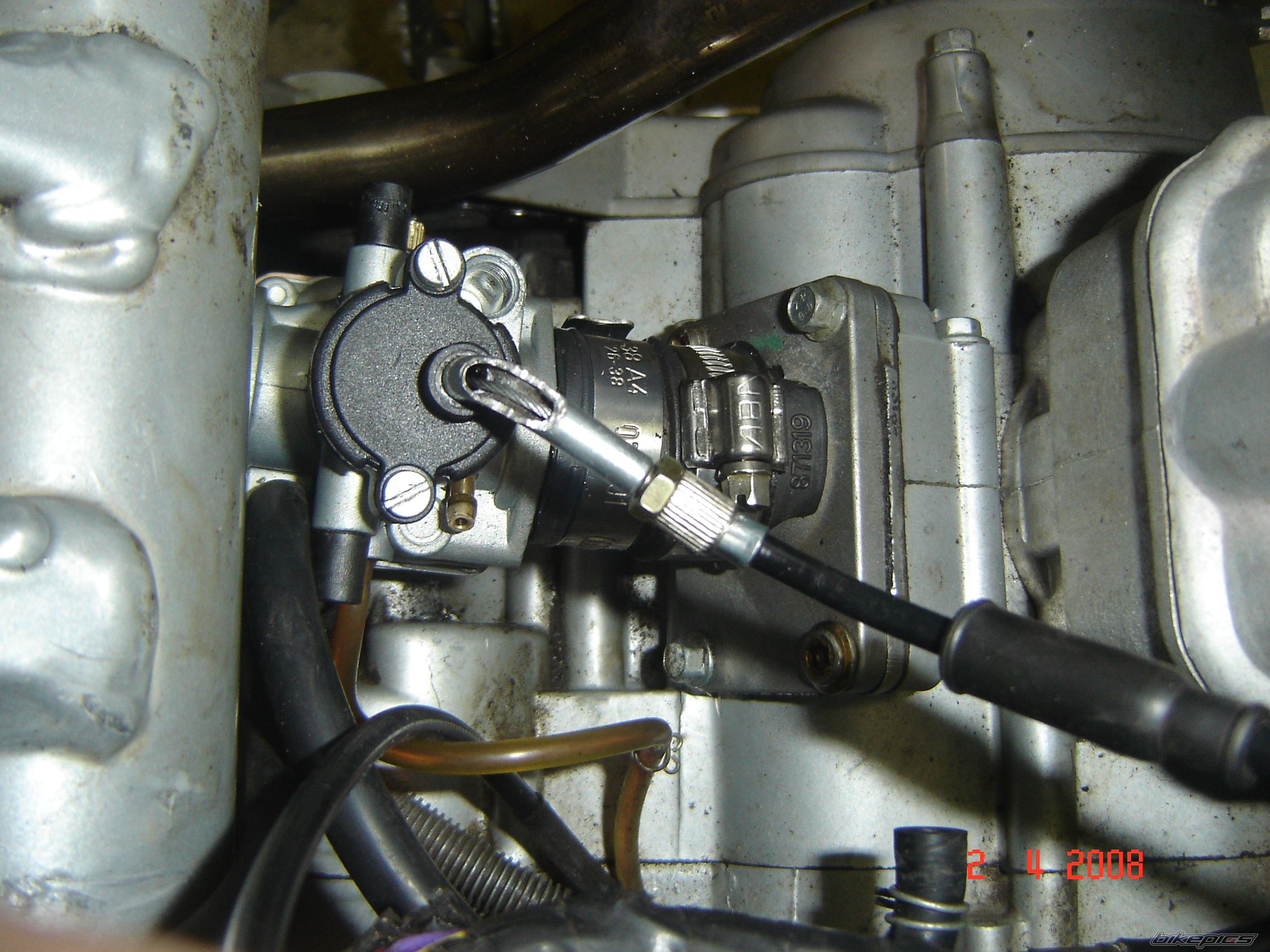 Photo 1310968