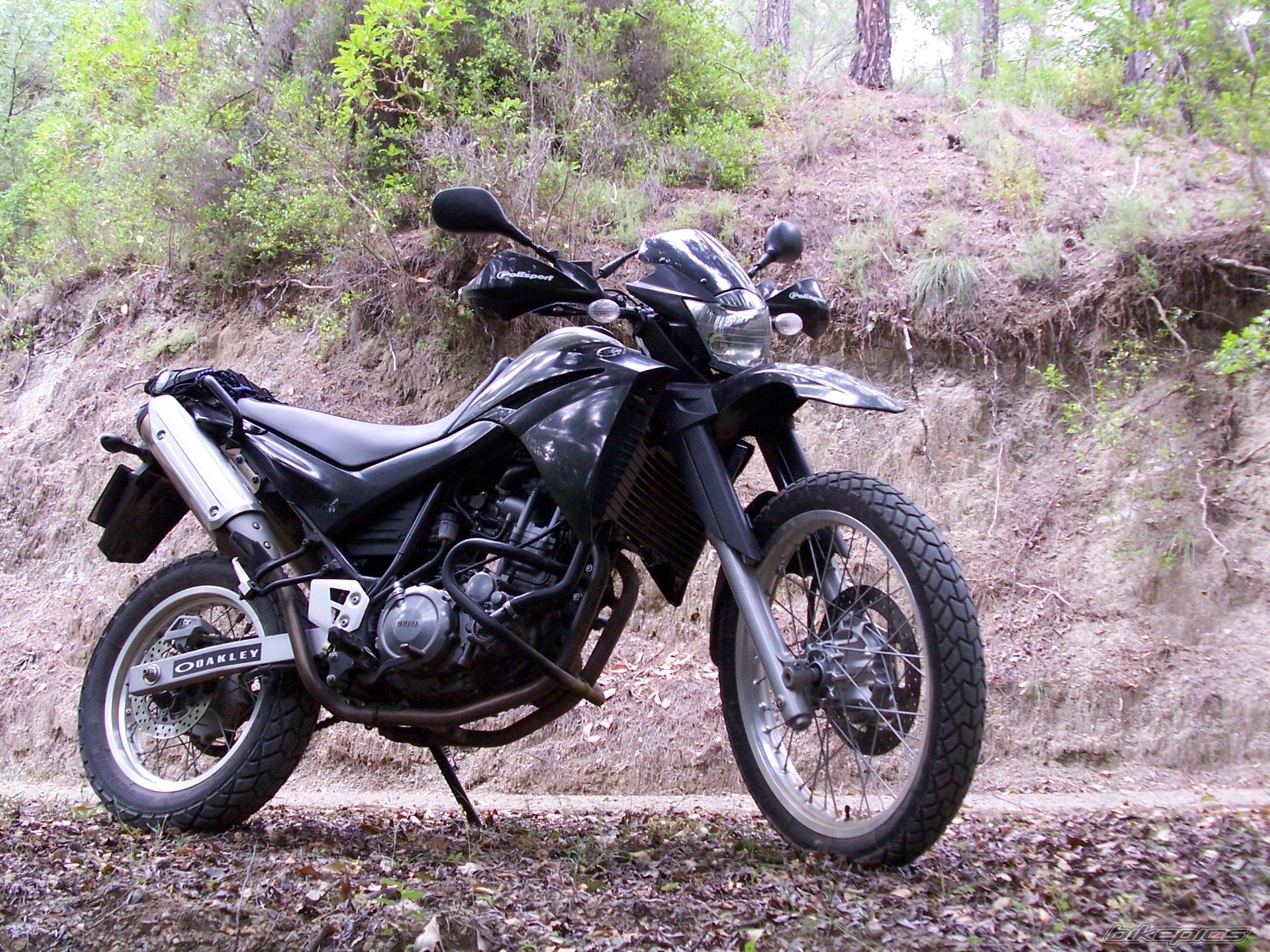 Bike Photo 1312298