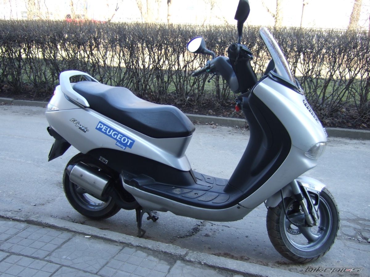 Photo 1312354