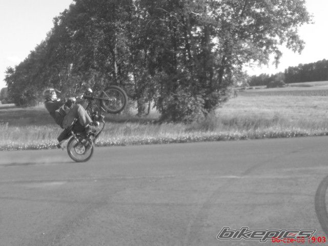 Photo 1312466