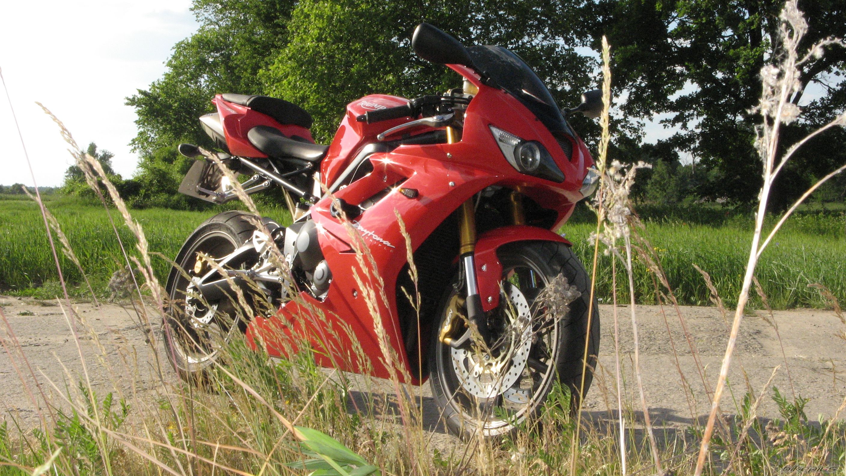 Photo 1312546