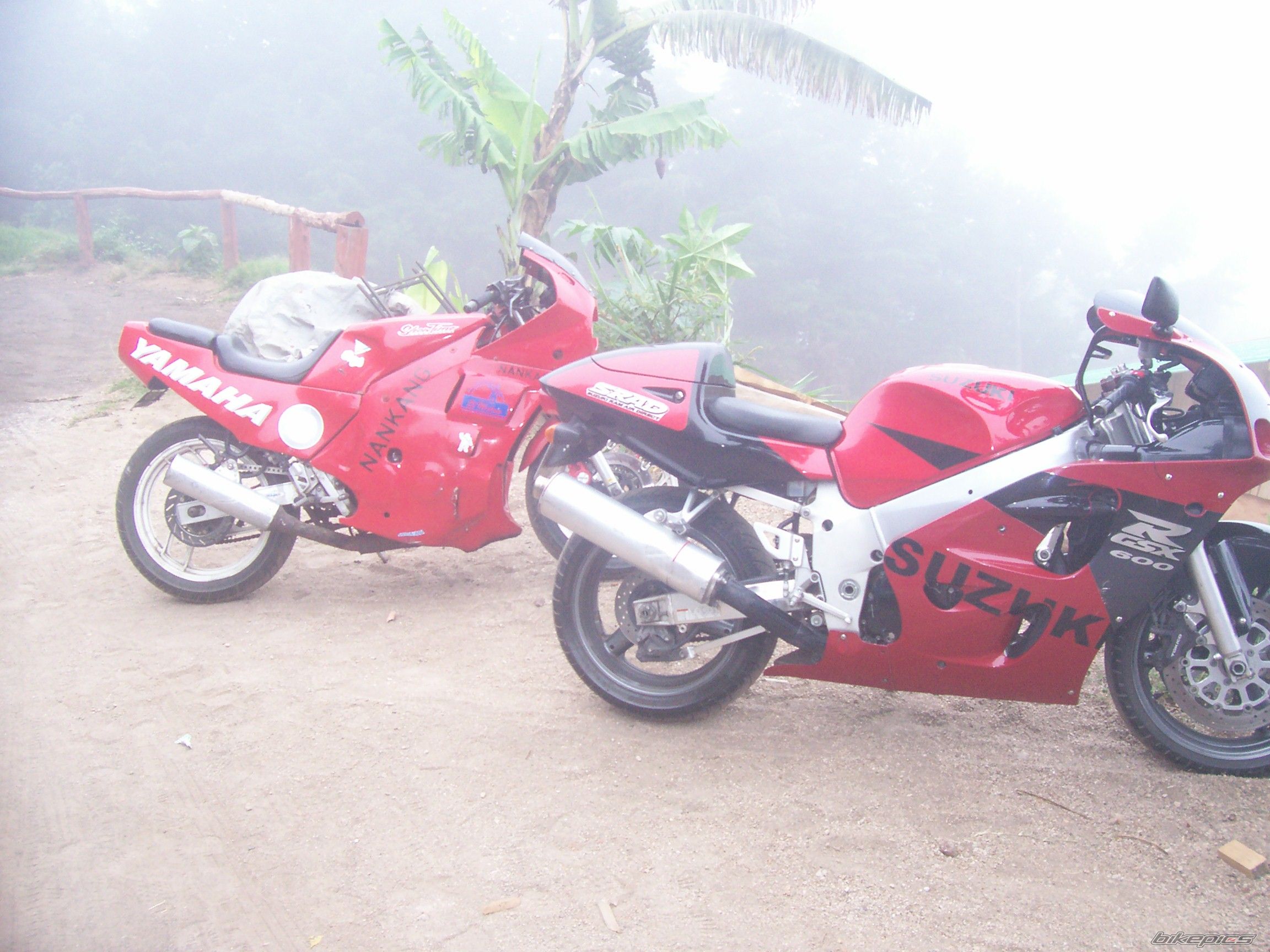 Photo 1312642