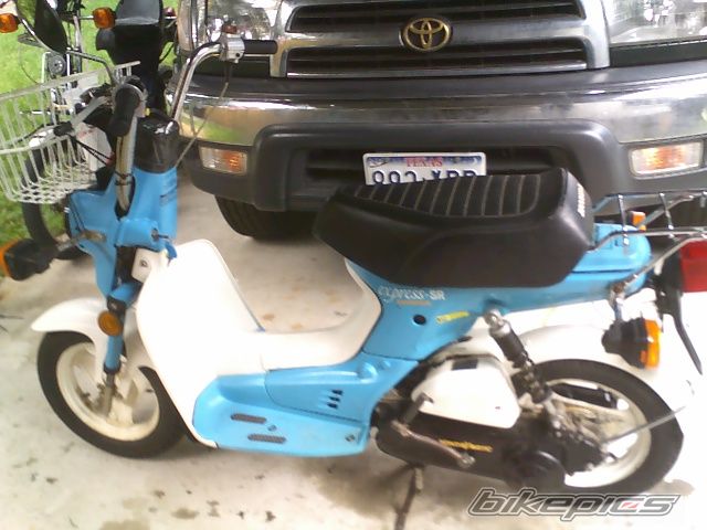 Photo 1315124