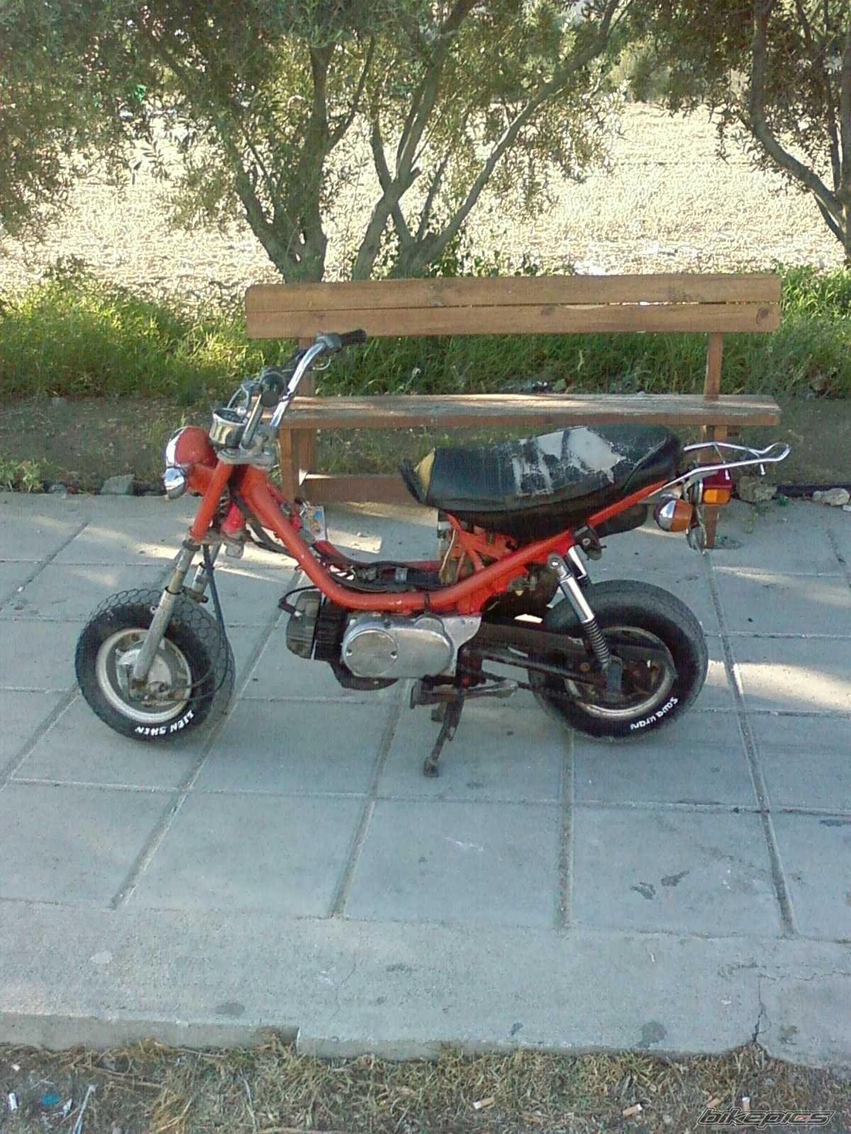 Photo 1315458