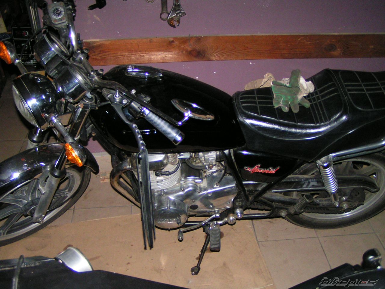 Photo 1317469