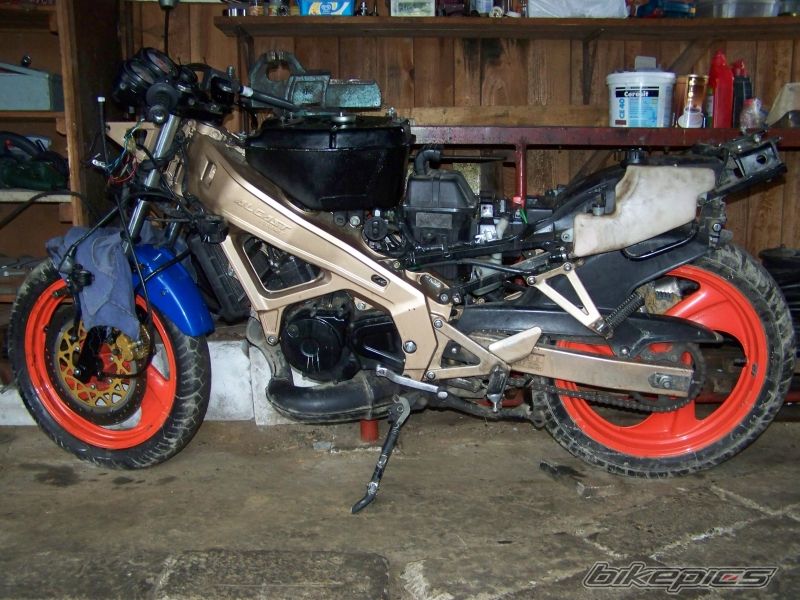 Photo 1320262