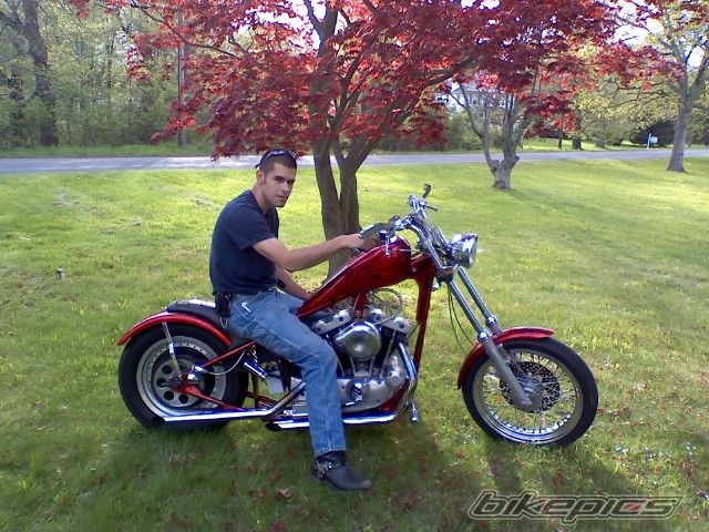 Photo 1321940