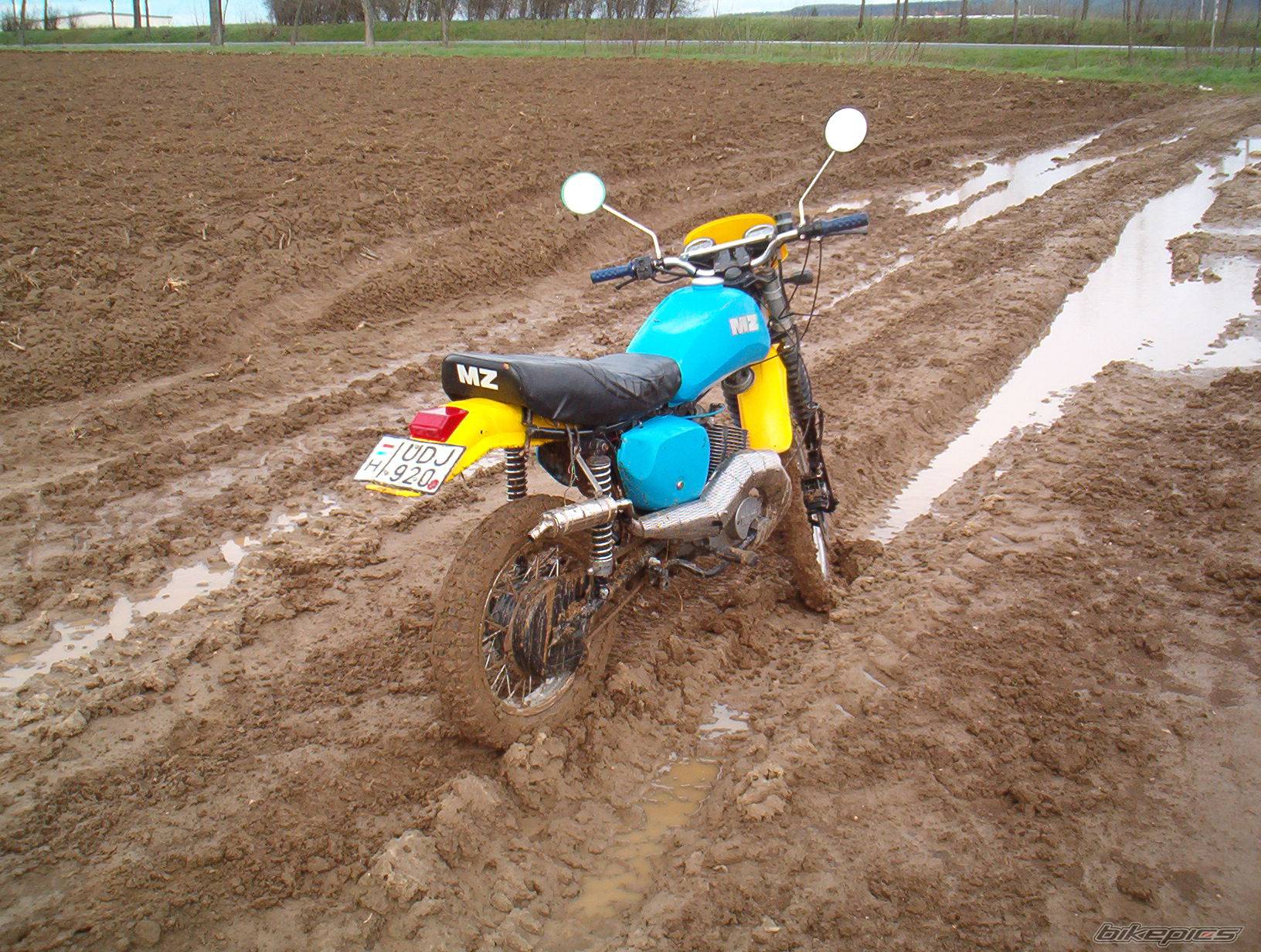 Photo 132273