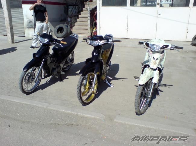 Photo 1323413
