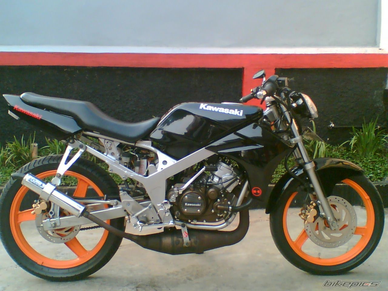 Photo 1325669