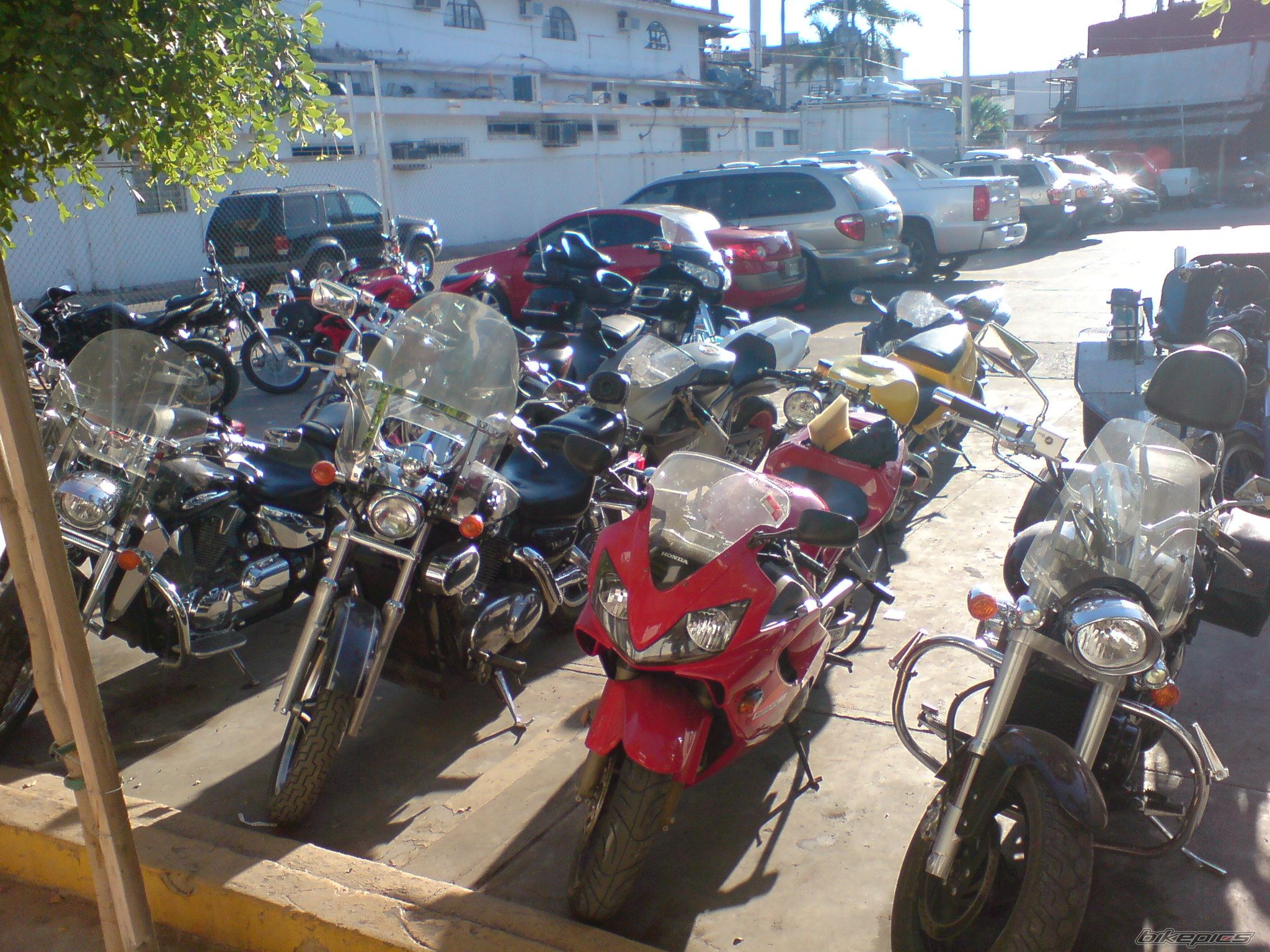 Photo 1334614