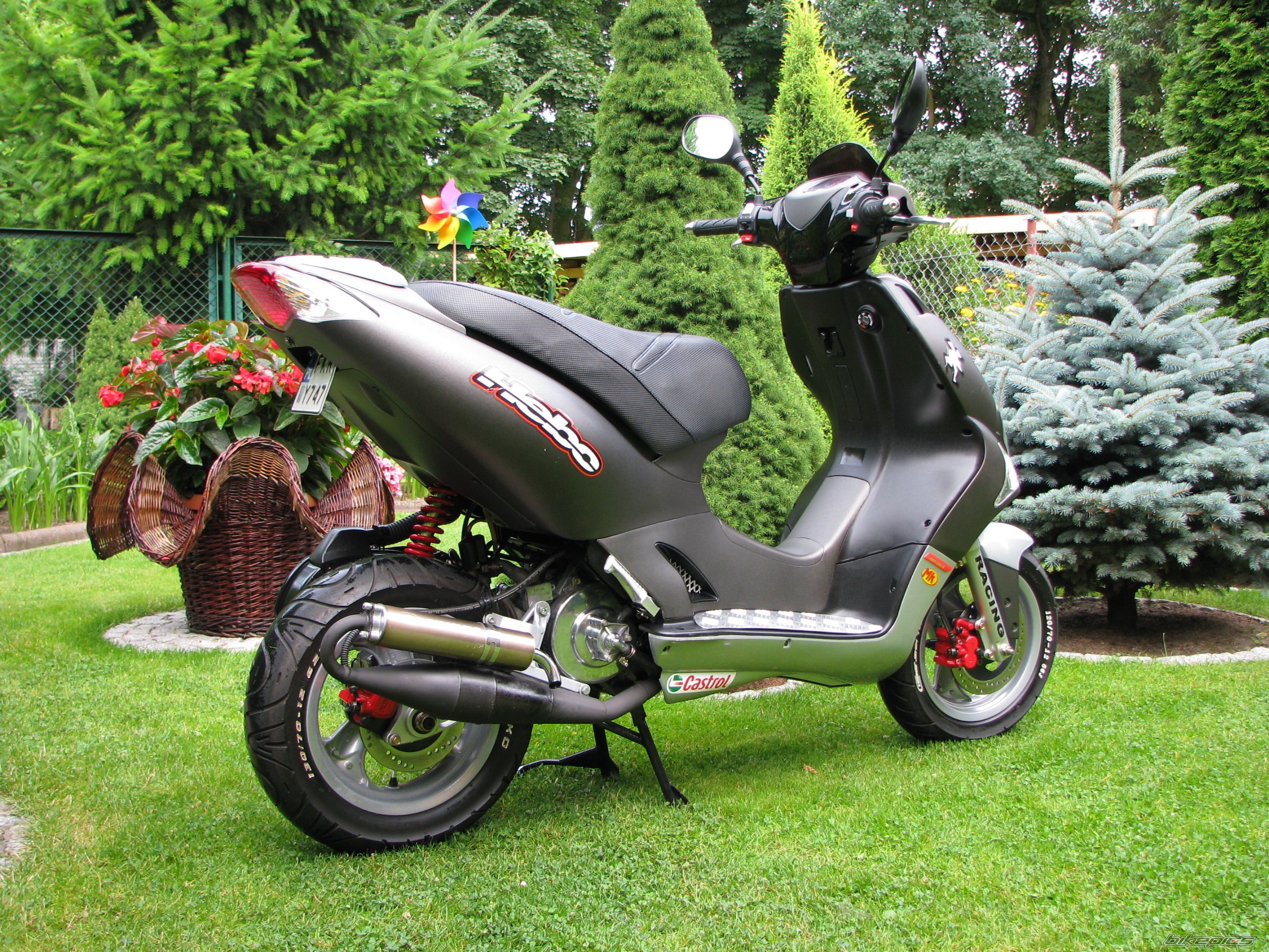 Photo 1336146