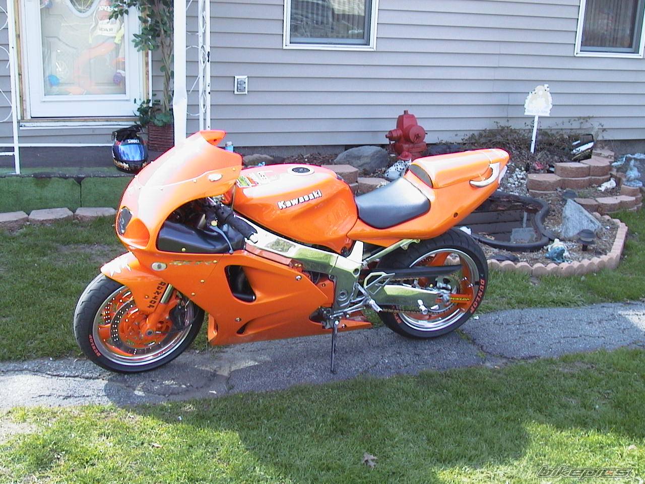 Photo 133623