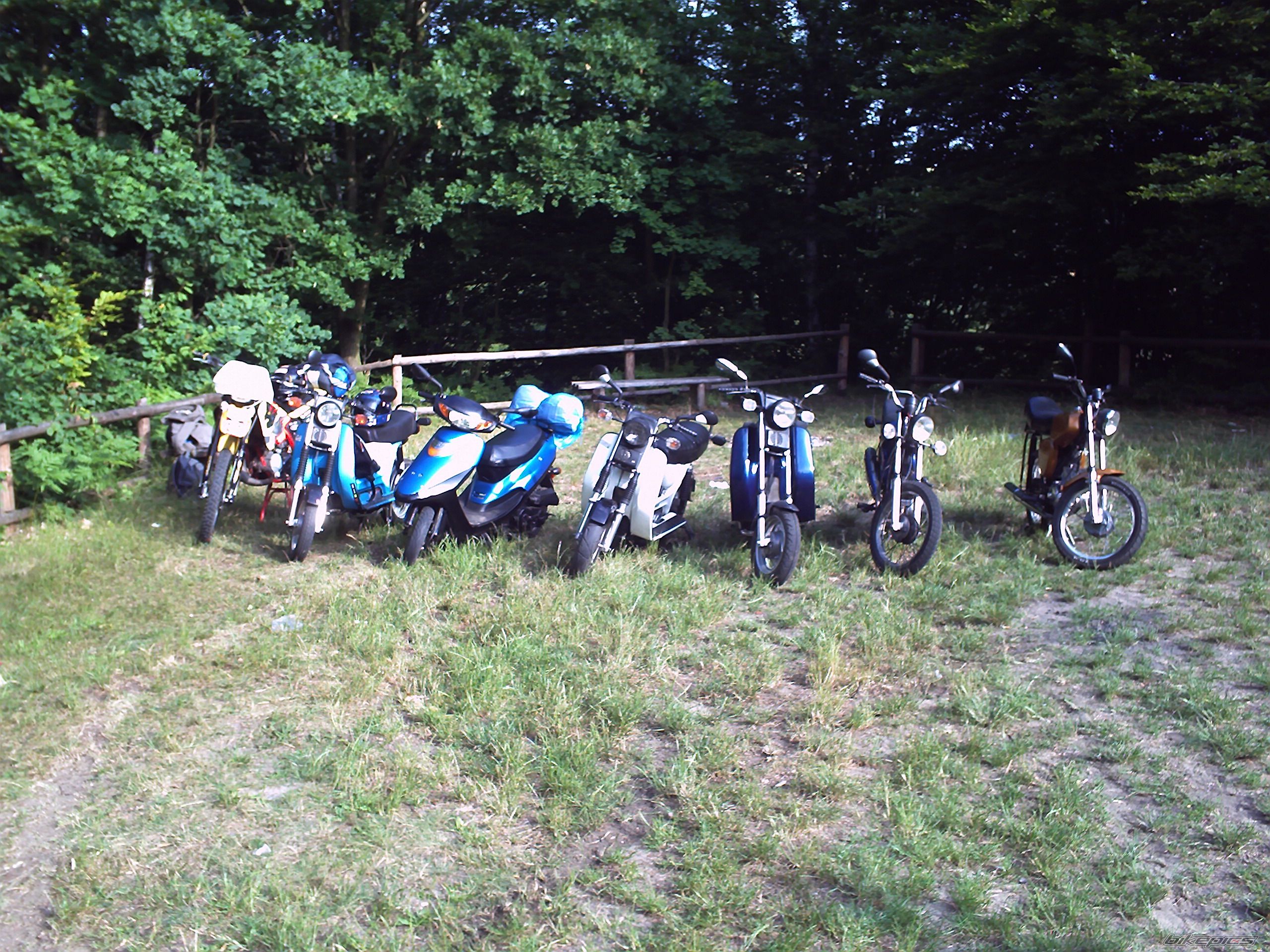 Photo 1337162